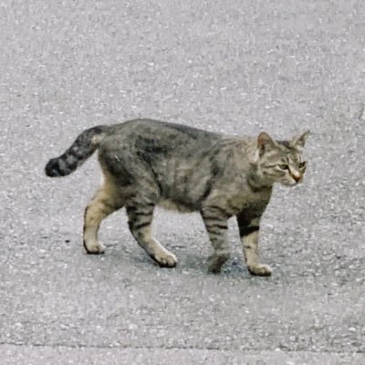 6am77's profile picture. 