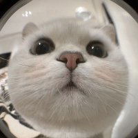 Bernette (@tam_bernette182) 's Twitter Profile