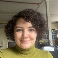 Safak Er (@safak_er_) Twitter profile photo