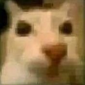 Pato_Jes's profile picture. ÑñÑñÑñÑñÑñÑñÑñÑñÑñÑñÑñÑñÑñÑñÑñÑñÑñÑñÑñÑñÑñÑñÑñÑñÑñÑñÑñÑñÑñÑñÑñÑñÑñÑñÑñÑñÑñÑñÑñÑñÑñÑñÑñÑñÑñÑñÑñÑñÑñÑñÑñÑñÑñÑñÑñÑñÑñÑñÑñÑñÑñÑñÑñÑñÑñÑñÑñÑñÑñÑñÑñÑñÑñÑñÑñÑñÑñÑñÑñÑñ