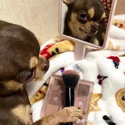 9pmmm's profile picture. 