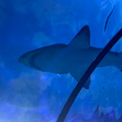 ArianaBurn43203's profile picture. 