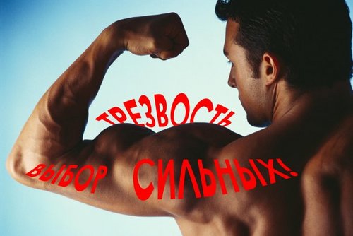 VigmiGizn's profile picture. Здоровье и саморазвитие.
Трезвость и верность, питание и воспитание, дух и сила - это красиво.