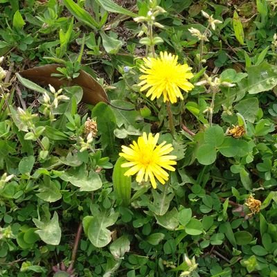 world8751981696's profile picture. エンタメブログをやっています！
覗きに来てください😌

基本相互フォロー
フォロー返しはボチボチとやりますので🙏

DMは見ません