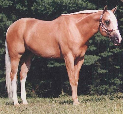 judy_moyer's profile picture. 