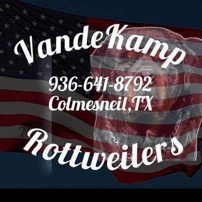 vandekamprotts's profile picture. Texas Rottweiler Breeder ! Quality pups available 936-641-8792