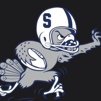 Skyview Football (@skyviewhawkfb) 's Twitter Profile