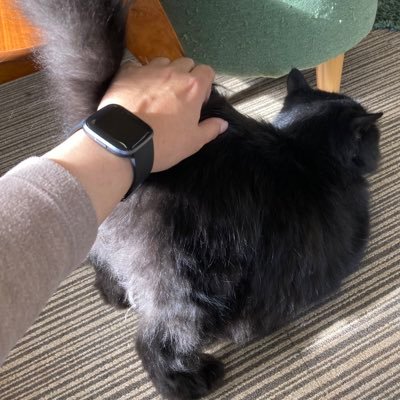 AisyJeff's profile picture. Embrace the discomfort. Suffering is temporary, don’t lose hope.