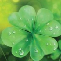 Claire Ashmore (@ashmore2009) 's Twitter Profile