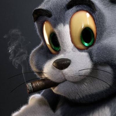 4mcAlister's profile picture. Ambassador to Masculinity, Happiness, Travelling enthusias