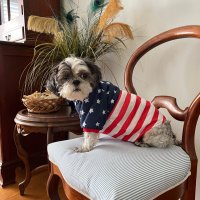 JoyfulOldLady (@bellawoodburny1) 's Twitter Profile Photo JoyfulOldLady (@bellawoodburny1) 's Twitter Profile Photo
