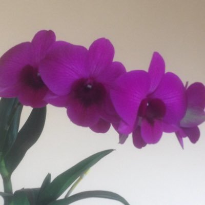 e_parkhuta's profile picture. 