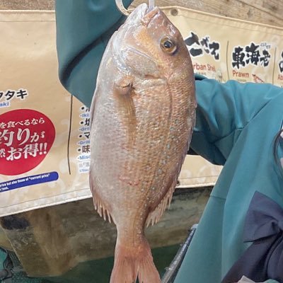 ペライチ両膝靭帯断裂中さんのプロフィール画像