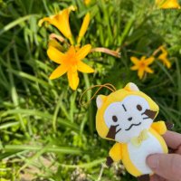 ラスカルちゃん (@rascal_love_m) 's Twitter Profile