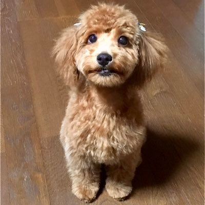 道内各地の綺麗な景色を見るのが好きです 。ツーリング、ドライブ、食べ歩きが好きです。 フォローワー限定で設備工事のご相談も受け付けております。
