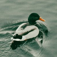 Skipper | Web3 (@skipper_we60708) 's Twitter Profile