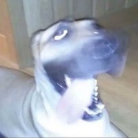Bilboum (@bilboum87) 's Twitter Profile Photo Bilboum (@bilboum87) 's Twitter Profile Photo