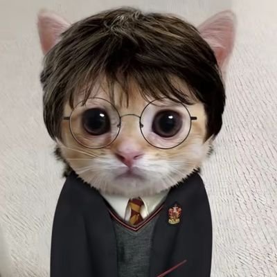 himuu_uu16's profile picture. CMA finalist 🧘🏻