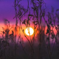 Mahn (@mahnwint) 's Twitter Profile