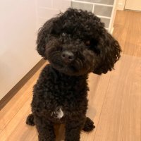 Tomomi (@tommoi_s) 's Twitter Profile Photo