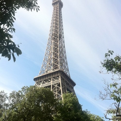 ReemApple's profile picture. 