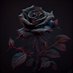 BlackRose (@blackrose2160) Twitter profile photo BlackRose (@blackrose2160) Twitter profile photo