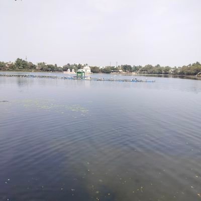 biswa268611's profile picture. Car Lover