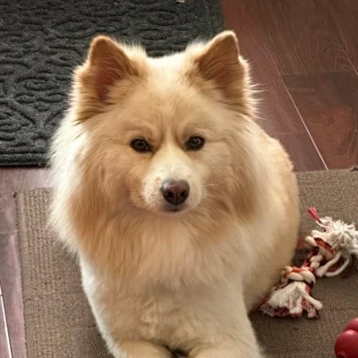 WTFUSA2024's profile picture. 