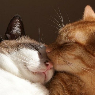 Ricoric47916337's profile picture. 