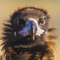 MfG_Nicole 🇺🇸 (@mfg_nicole73) 's Twitter Profile Photo MfG_Nicole 🇺🇸 (@mfg_nicole73) 's Twitter Profile Photo