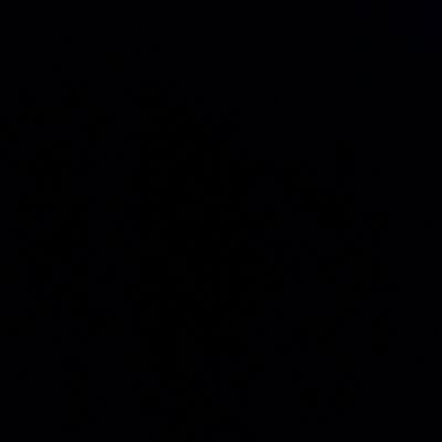 danilovaidebet's profile picture. temporario