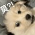 อาหลิง (@xth_tt) Twitter profile photo อาหลิง (@xth_tt) Twitter profile photo