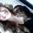 katelynlintel's profile image