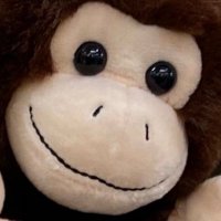 🍃 (@n6fc8jltgt22678) 's Twitter Profile