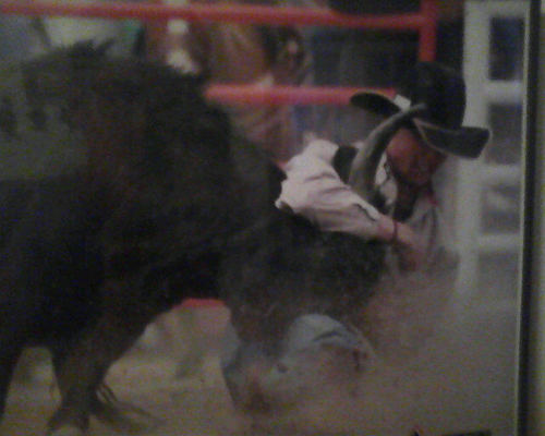 clayton_kolb's profile picture. 