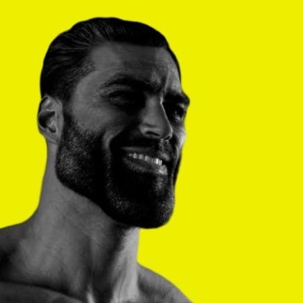 beelibers's profile picture. .