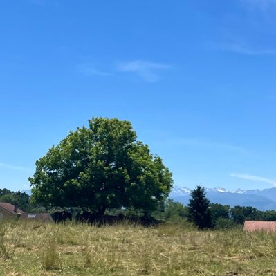 BareilleAH's profile picture. mes messages n’engagent que moi