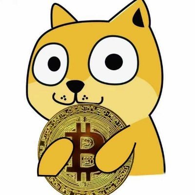 SophiaGan553509's profile picture. 