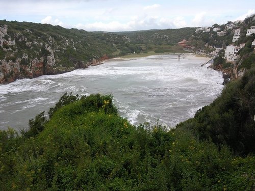 tonmoll's profile picture. 