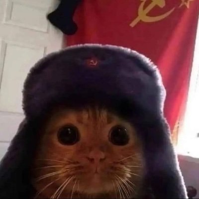 he/they | 19 | just a cat with leftist tendencies | formerly: mono_ent