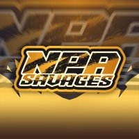 NPA Savages 7v7 (@tnsavages7v7) 's Twitter Profile