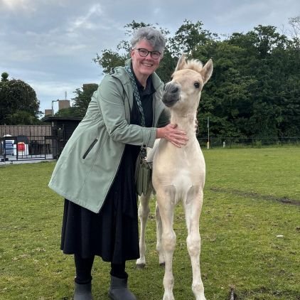 gvdven's profile picture. Don't panic, Organize! Voorheen kok 👩‍🍳 en politiek actief in de gemeenteraad, Provinciale Staten en op straat. 
Nu Vakbondsbestuurder bij FNV Lokaal.
