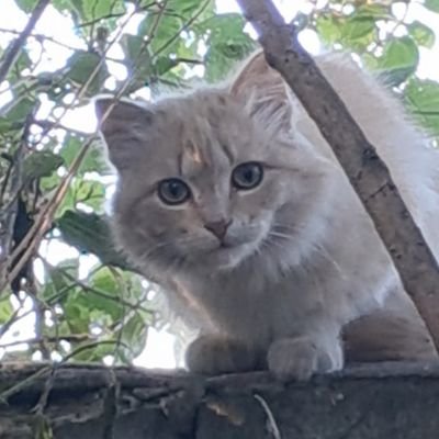 delulu1369's profile picture. 