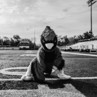 Collinsville Varsity Cheer (@cvilleokcheer) 's Twitter Profile