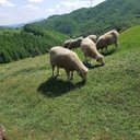 Dora JEAN - @DJean96567 - Twitter