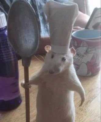 muikldfjkd's profile picture. پای سخن لنگ است و دست واژه کوتاه است
از من به من فرسنگ ها راه است