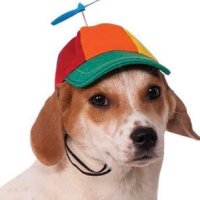 maddy (@lilplunger) 's Twitter Profile