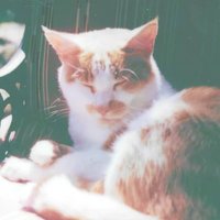 Mateus (@mateusk2m) 's Twitter Profile Photo Mateus (@mateusk2m) 's Twitter Profile Photo