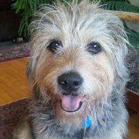 Julie Gordon (@julesaverne) 's Twitter Profile Photo Julie Gordon (@julesaverne) 's Twitter Profile Photo