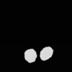 therealsultannn's profile picture. -Weirdo